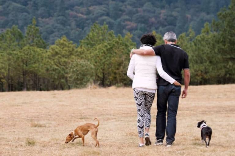 couple walking with their dogs